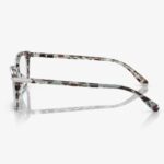 Coach - Halo Seaglass Tortoise