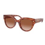 Coach - Sun Tortoise